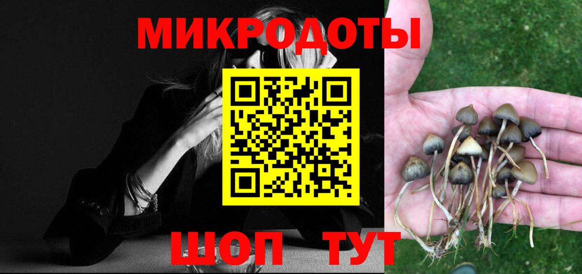 Галлюциногенные грибы Magic Shrooms  закладки  Галлюциногенные грибы мицелий  Белая Калитва  Вход с VPN 