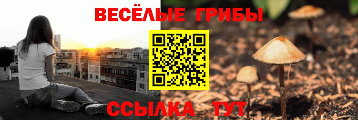 Псилоцибиновые грибы GOLDEN TEACHER Белая Калитва